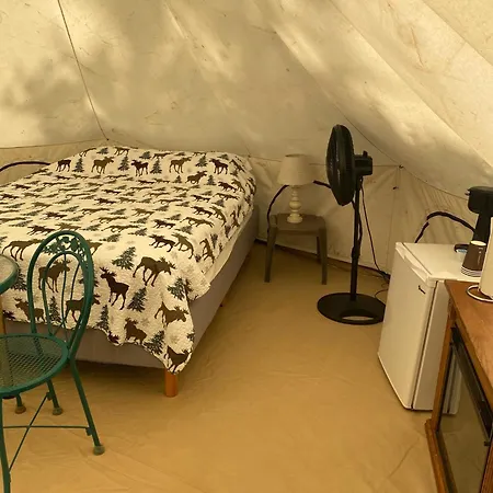 Snake River Glamping Irwin Extérieur photo
